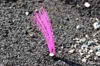 Marking Whiskers 25Pkt