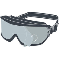 Deltaplus Clear Safety Goggle
